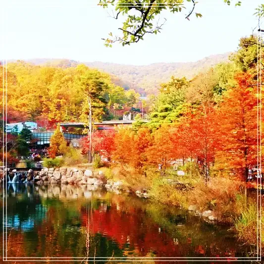 화담숲-가을