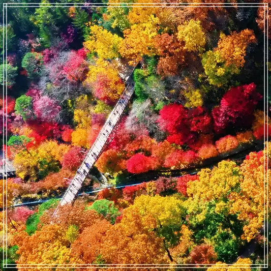 화담숲-가을