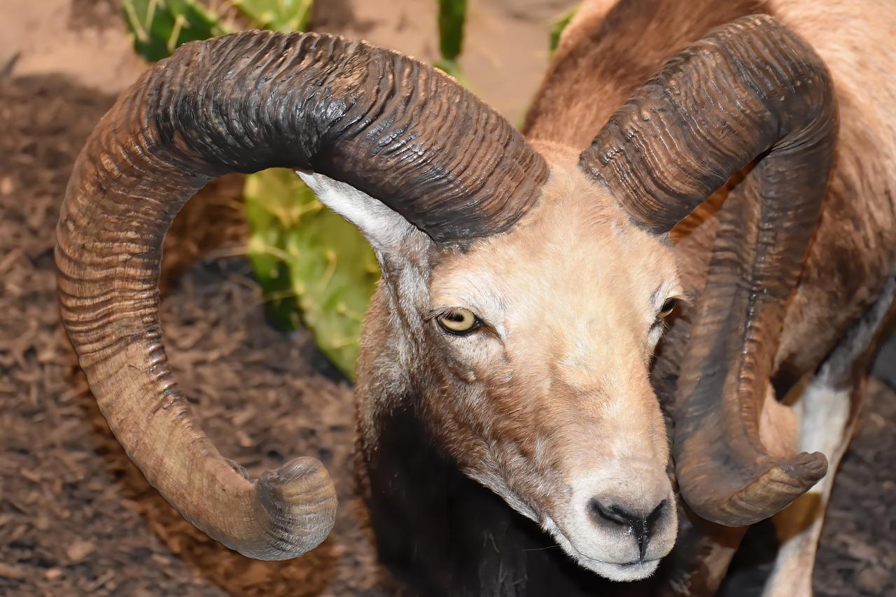 비트코인 거래소에서 제공하는 수수료 할인과 증거금 혜택 알아보기