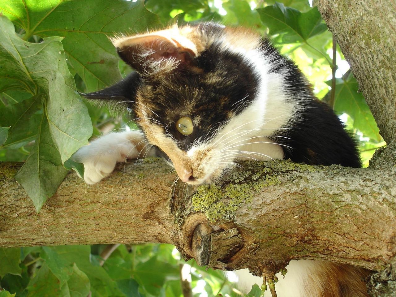 비트코인 거래소 선택 가이드: 나에게 맞는 최상의 선택을 찾아보세요!