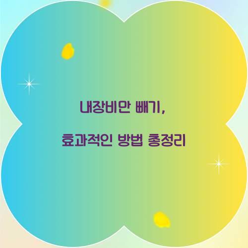 내장비만 빼기, 효과적인 방법 총정리