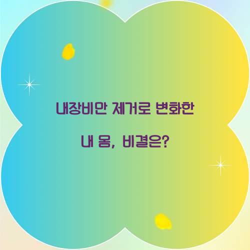 내장비만 제거로 변화한 내 몸, 비결은?