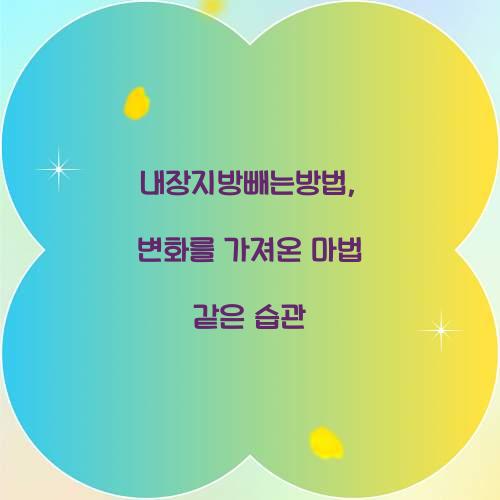 내장지방빼는방법, 변화를 가져온 마법 같은 습관