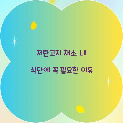 저탄고지 채소, 내 식단에 꼭 필요한 이유