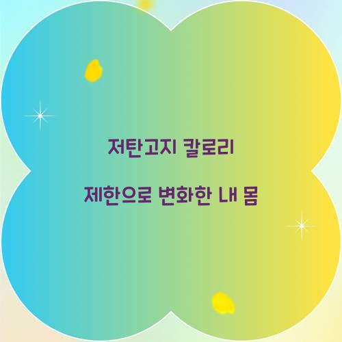 저탄고지 칼로리 제한으로 변화한 내 몸