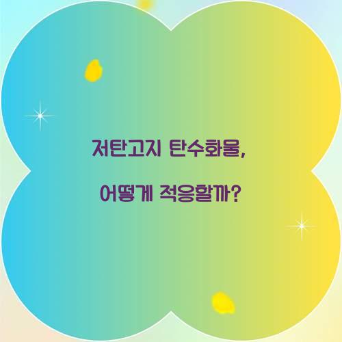 저탄고지 탄수화물, 어떻게 적응할까?