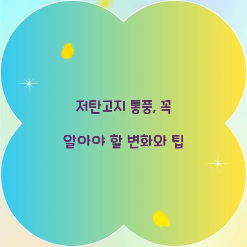 저탄고지 통풍, 꼭 알아야 할 변화와 팁