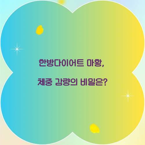 한방다이어트 마황, 체중 감량의 비밀은?