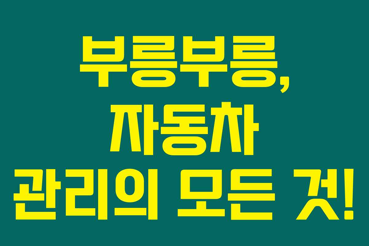 부릉부릉, 자동차 관리의 모든 것!