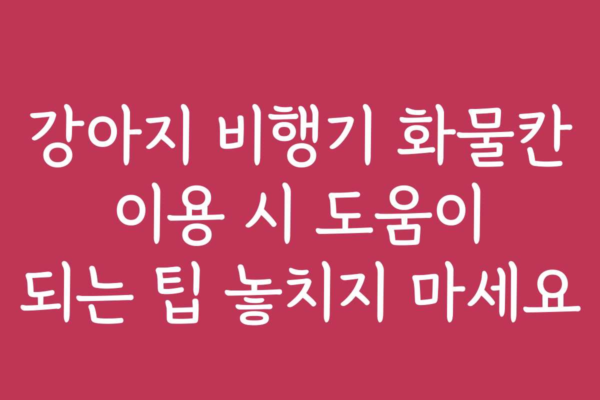 강아지 비행기 화물칸 이용 시 도움이 되는 팁 놓치지 마세요