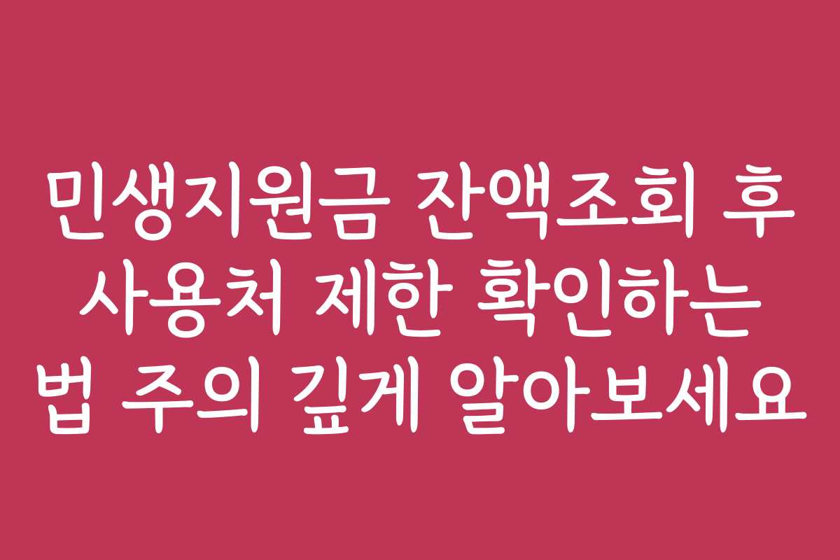 민생지원금 잔액조회 후 사용처 제한 확인하는 법 주의 깊게 알아보세요