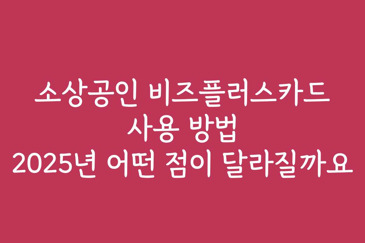소상공인 비즈플러스카드 사용 방법 2025년 어떤 점이 달라질까요