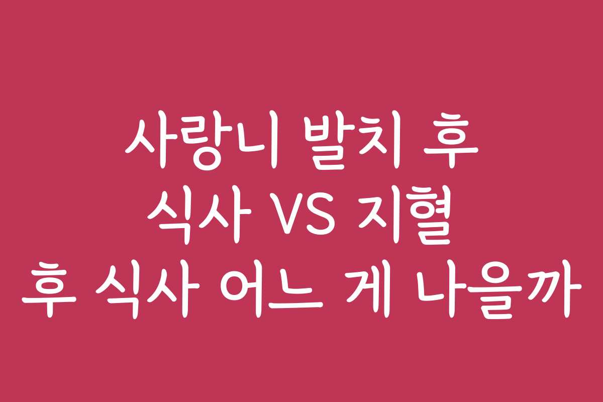 사랑니 발치 후 식사 VS 지혈 후 식사 어느 게 나을까