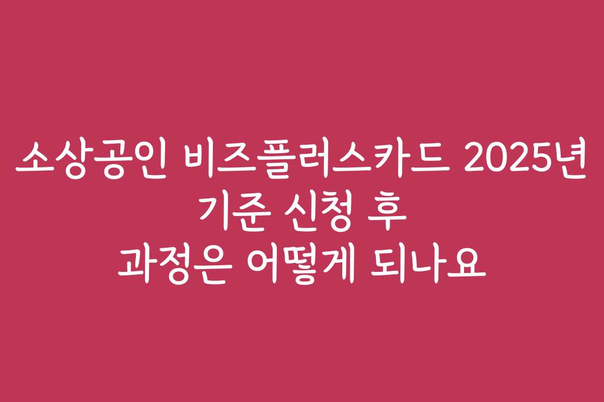 소상공인 비즈플러스카드 2025년 기준 신청 후 과정은 어떻게 되나요