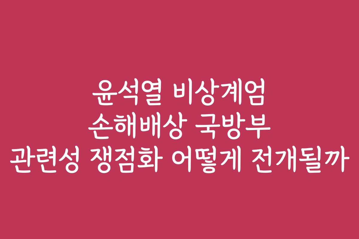 윤석열 비상계엄 손해배상 국방부 관련성 쟁점화 어떻게 전개될까