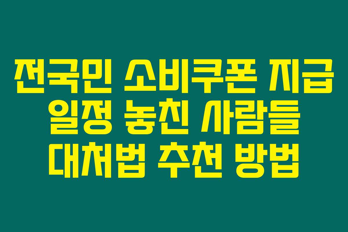 전국민 소비쿠폰 지급 일정 놓친 사람들 대처법 추천 방법