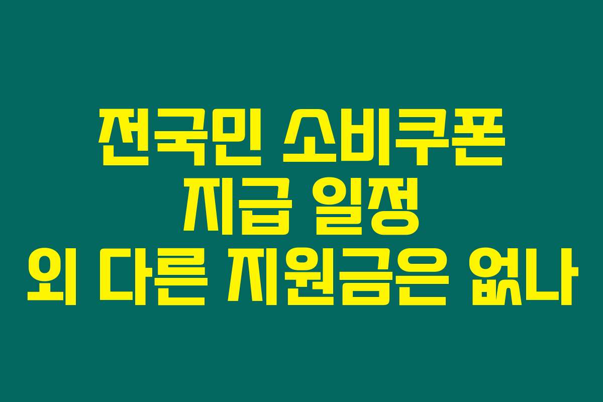 전국민 소비쿠폰 지급 일정 외 다른 지원금은 없나