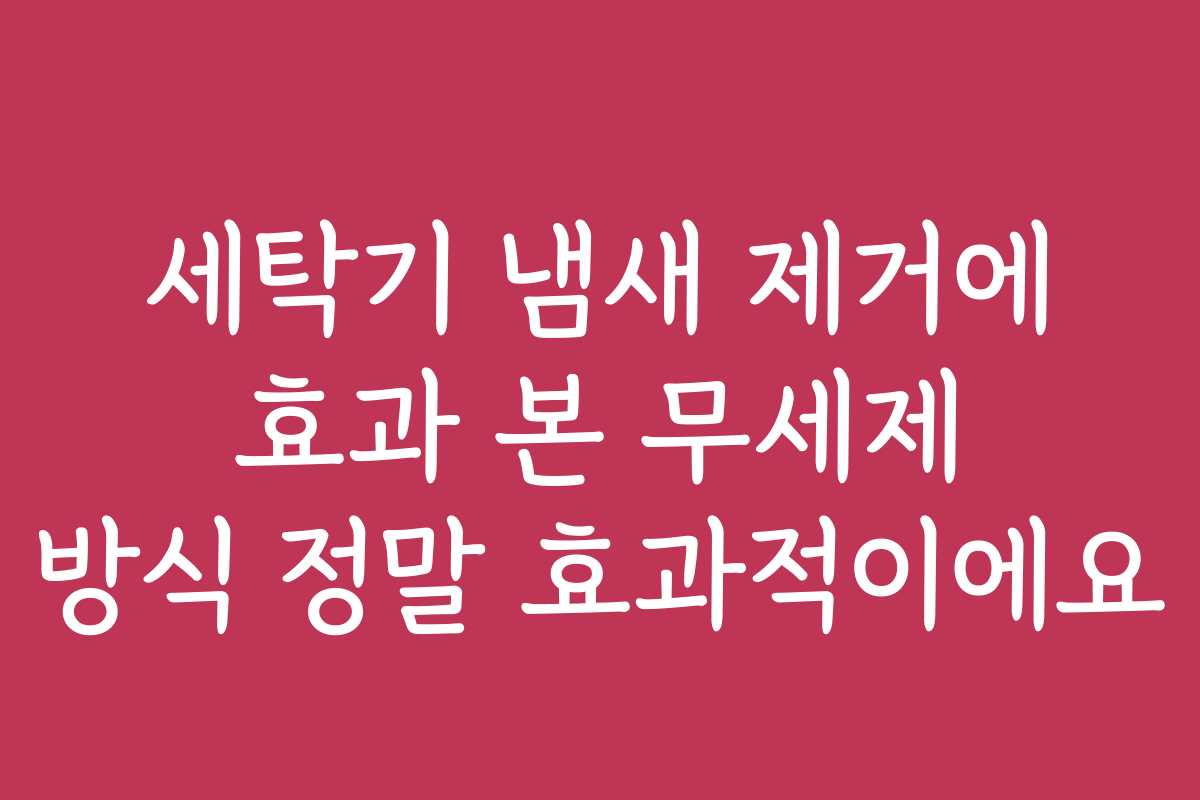 세탁기 냄새 제거에 효과 본 무세제 방식 정말 효과적이에요