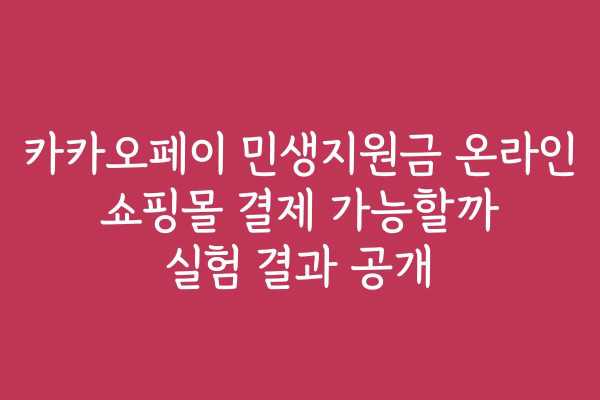 카카오페이 민생지원금 온라인 쇼핑몰 결제 가능할까 실험 결과 공개