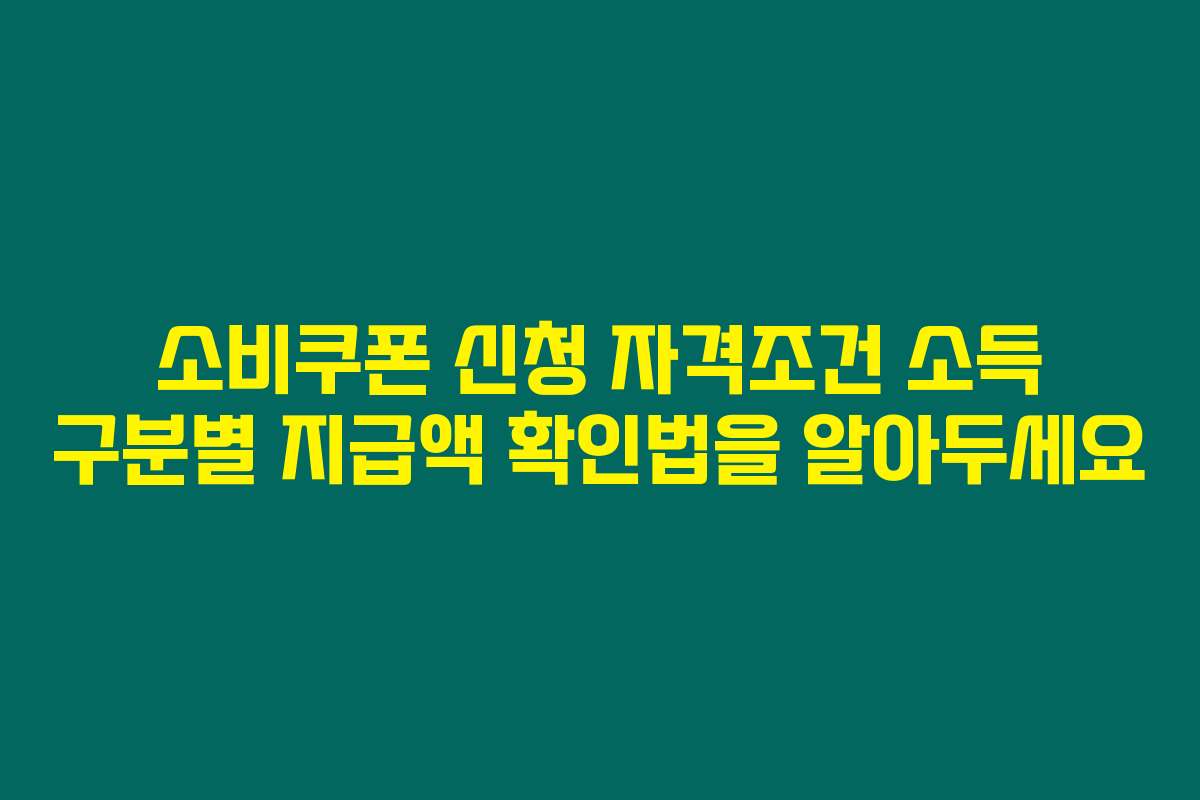 소비쿠폰 신청 자격조건 소득 구분별 지급액 확인법을 알아두세요