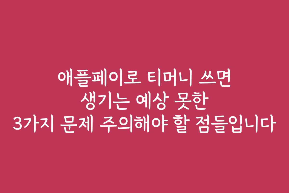 애플페이로 티머니 쓰면 생기는 예상 못한 3가지 문제 주의해야 할 점들입니다