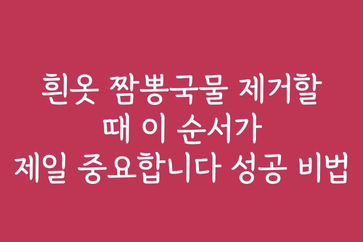 흰옷 짬뽕국물 제거할 때 이 순서가 제일 중요합니다 성공 비법