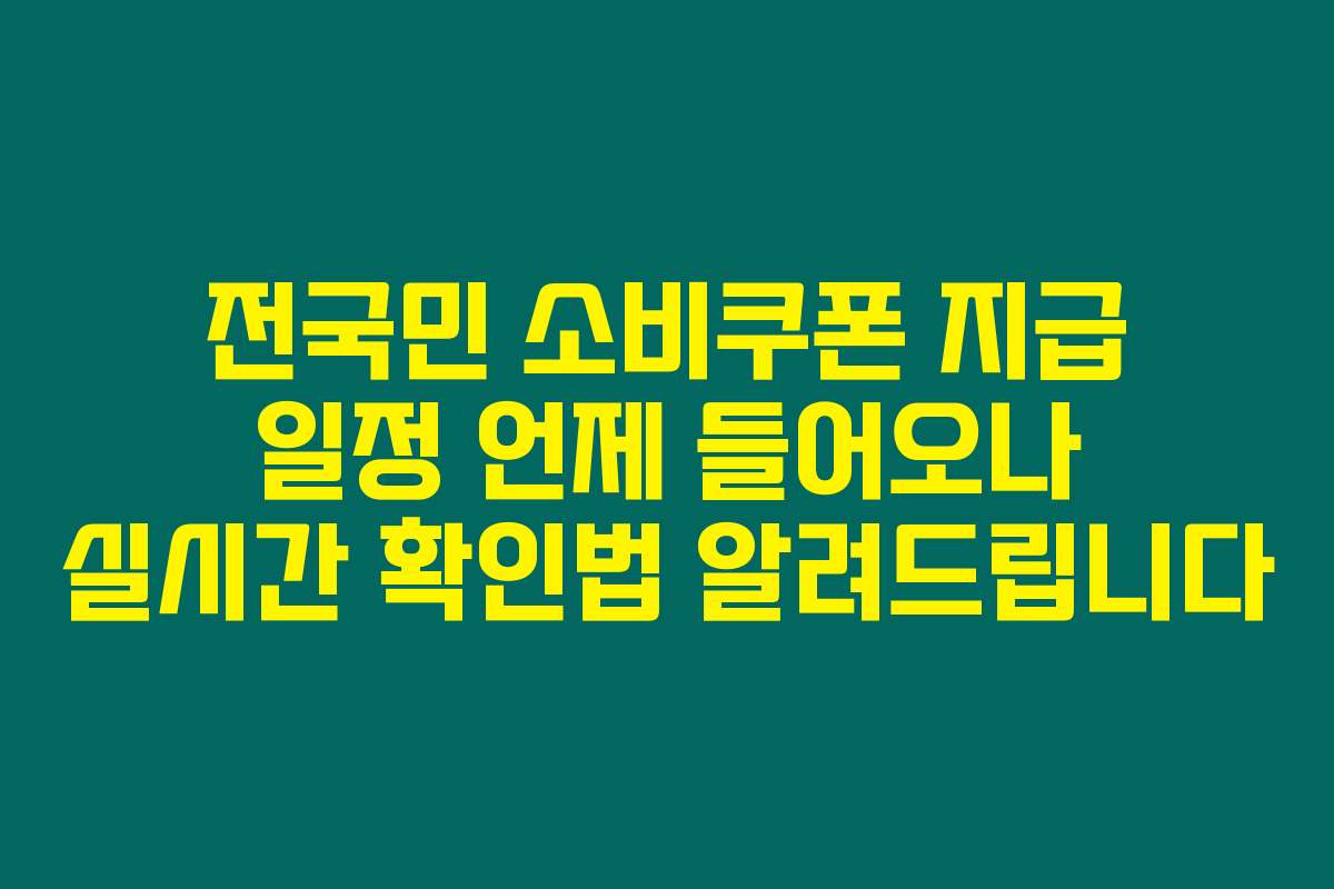 전국민 소비쿠폰 지급 일정 언제 들어오나 실시간 확인법 알려드립니다