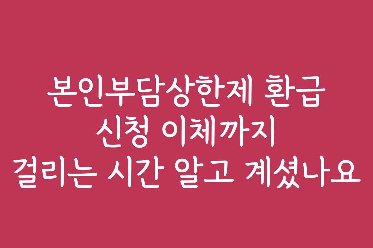 본인부담상한제 환급 신청 이체까지 걸리는 시간 알고 계셨나요