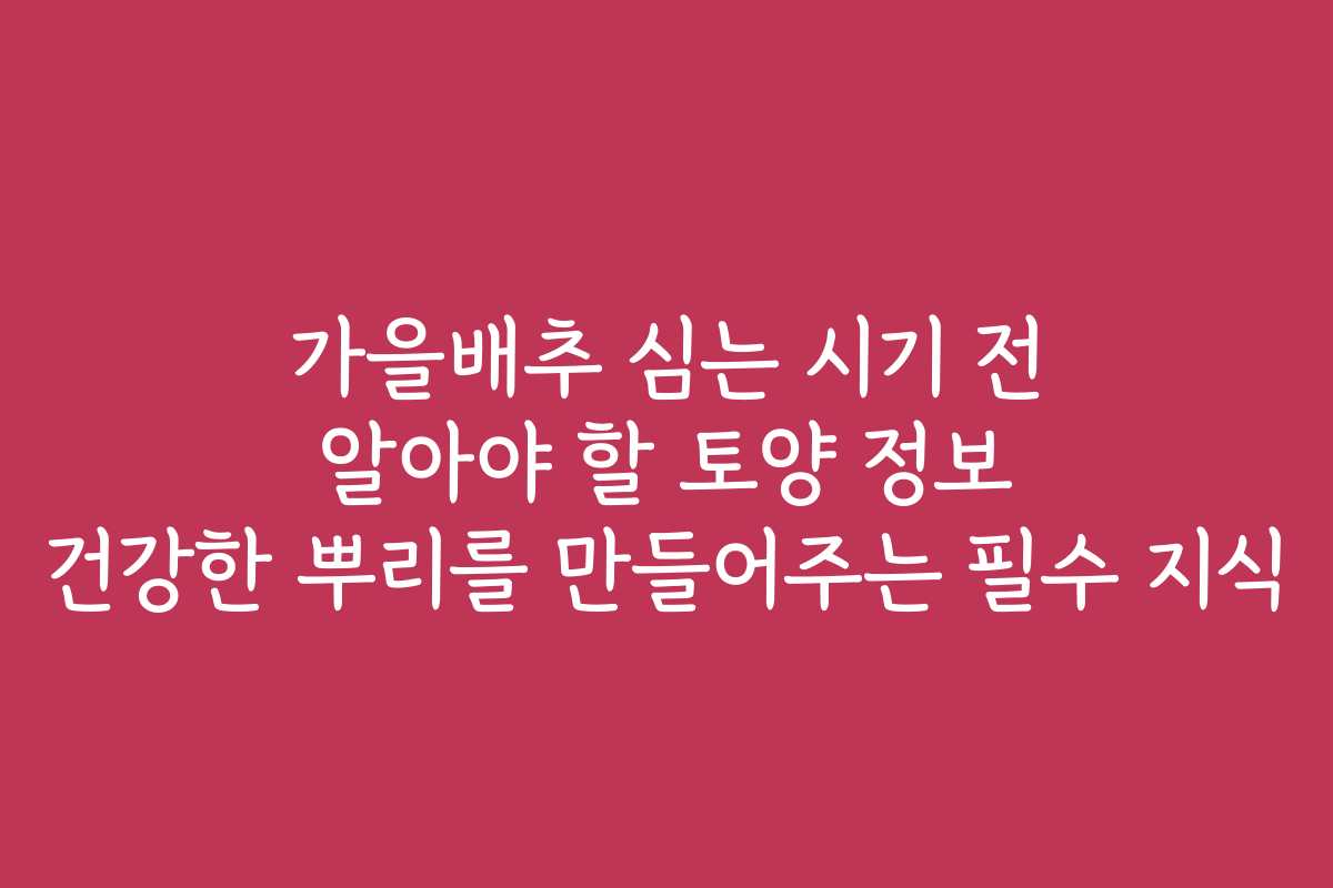 가을배추 심는 시기 전 알아야 할 토양 정보 건강한 뿌리를 만들어주는 필수 지식