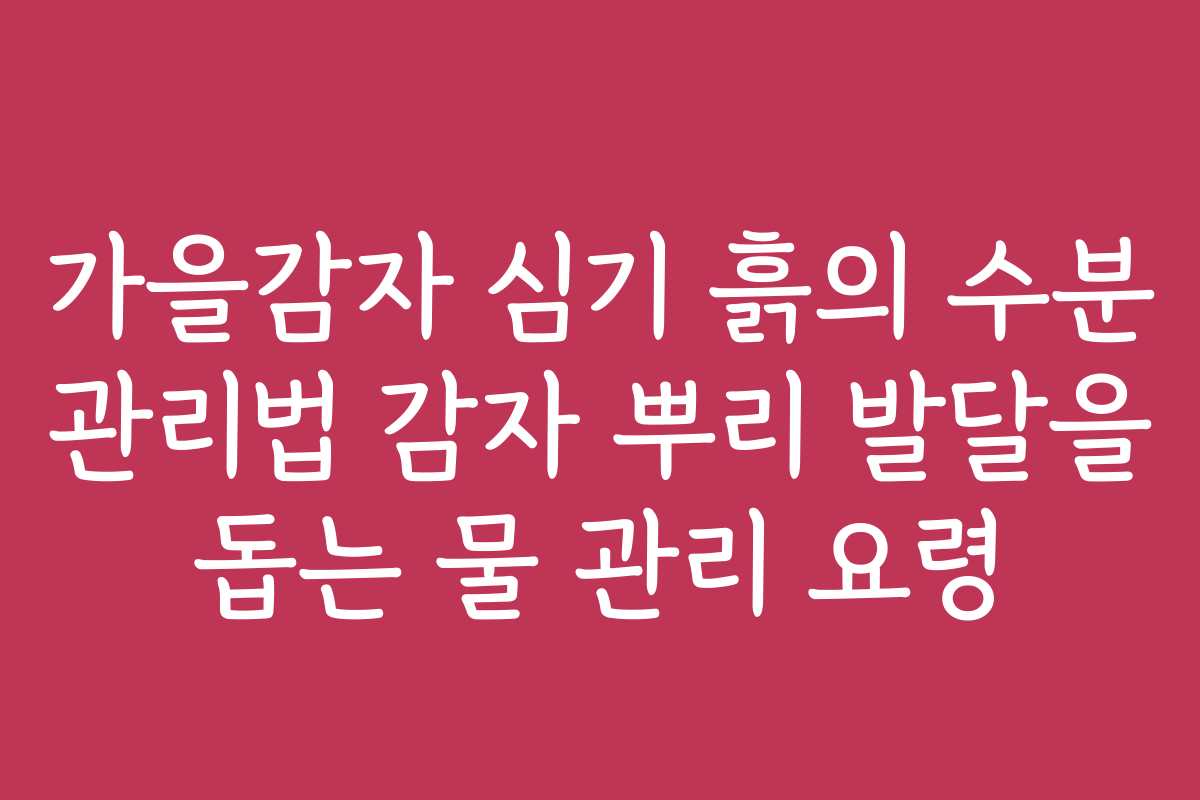 가을감자 심기 흙의 수분 관리법 감자 뿌리 발달을 돕는 물 관리 요령