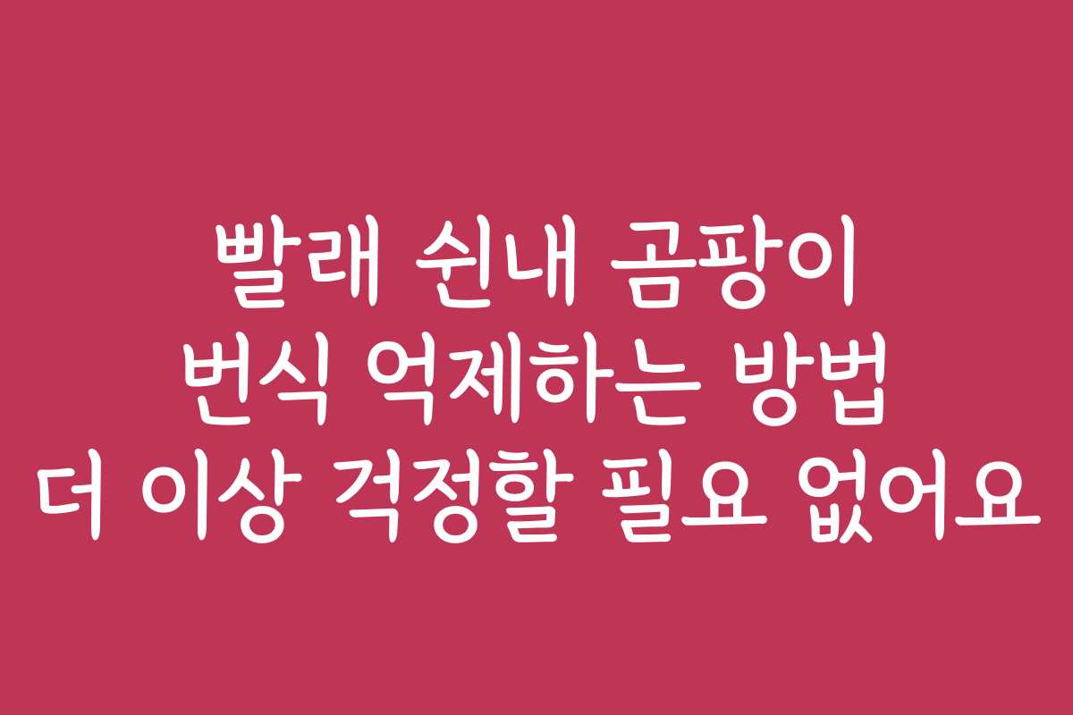 빨래 쉰내 곰팡이 번식 억제하는 방법 더 이상 걱정할 필요 없어요