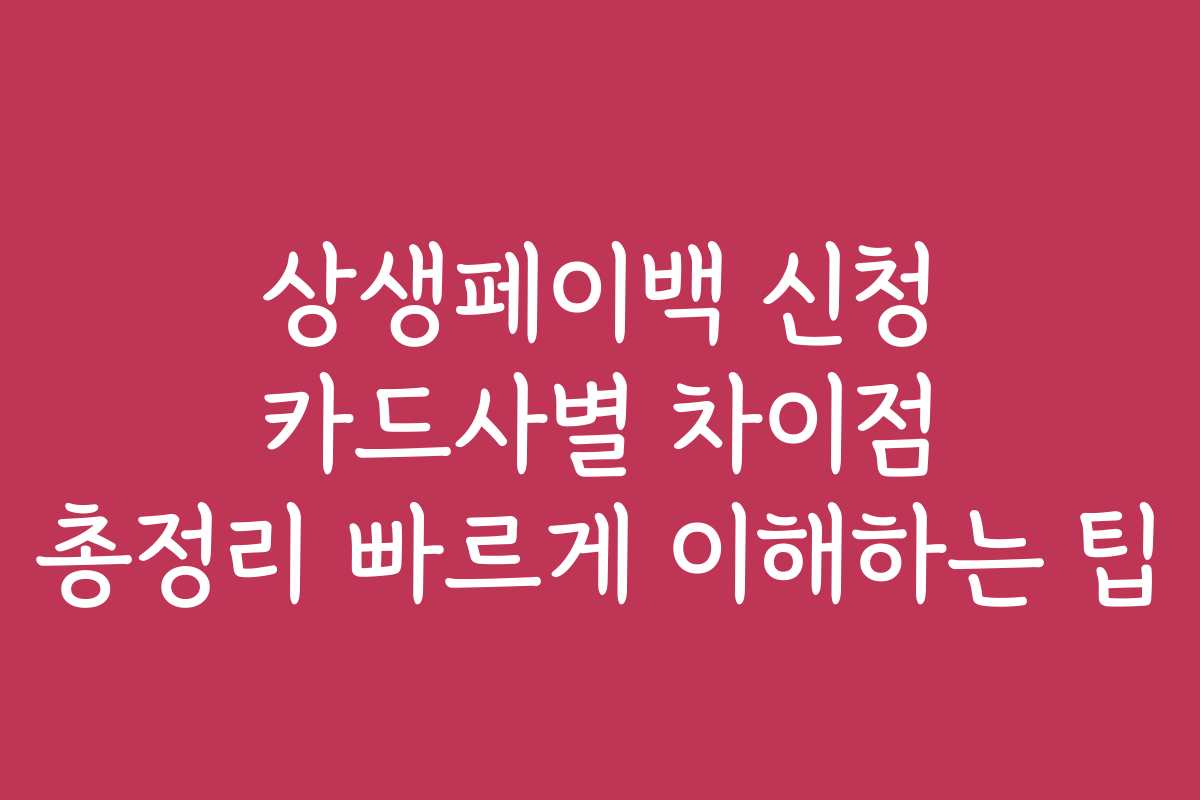 상생페이백 신청 카드사별 차이점 총정리 빠르게 이해하는 팁
