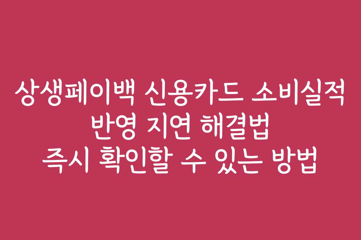 상생페이백 신용카드 소비실적 반영 지연 해결법 즉시 확인할 수 있는 방법