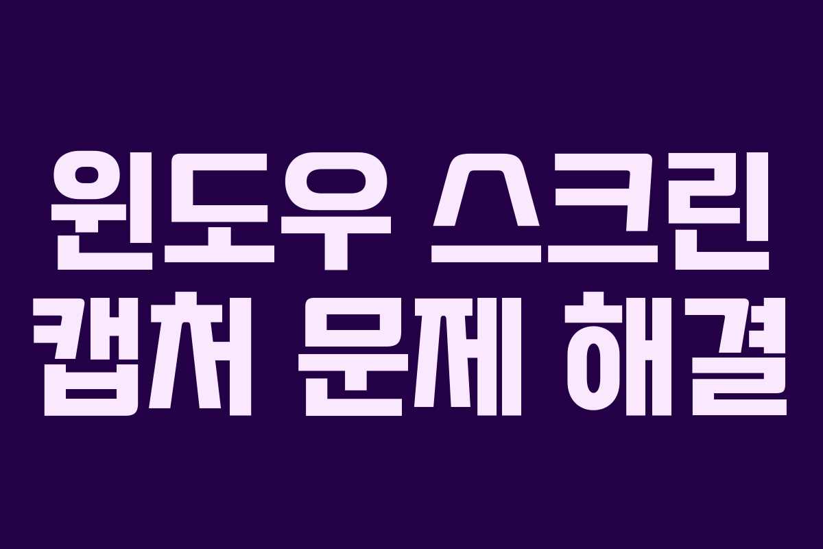 윈도우 스크린 캡처 문제 해결