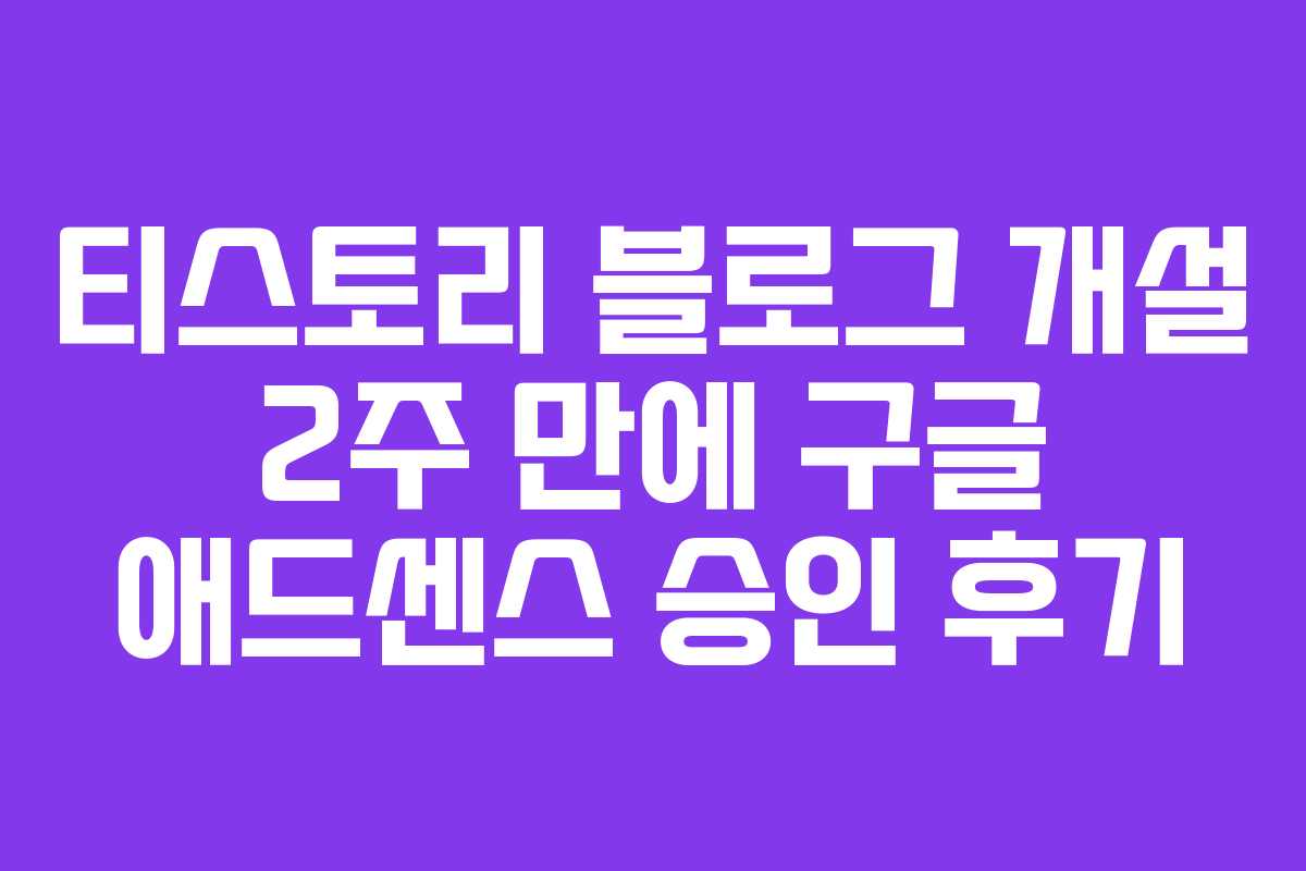 티스토리 블로그 개설 2주 만에 구글 애드센스 승인 후기