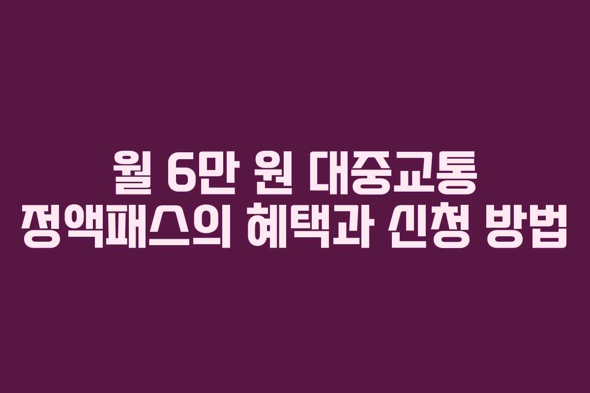 월 6만 원 대중교통 정액패스의 혜택과 신청 방법