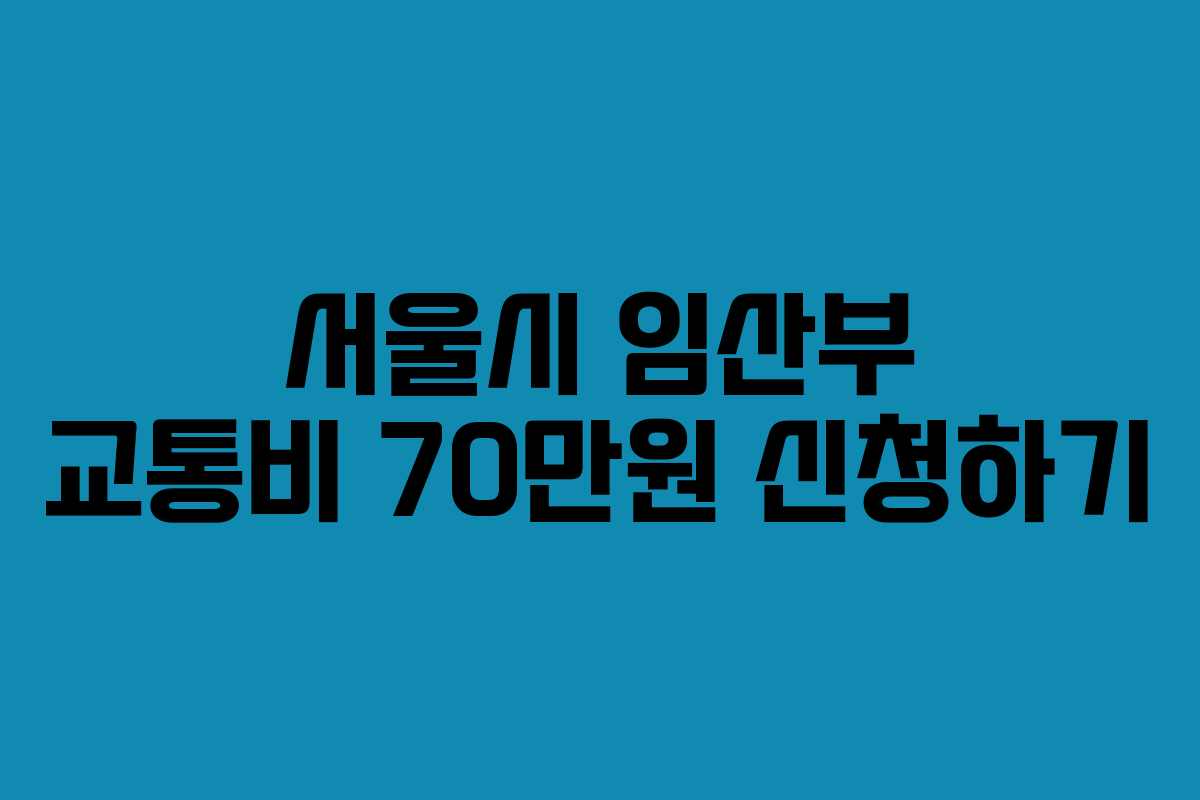 서울시 임산부 교통비 70만원 신청하기