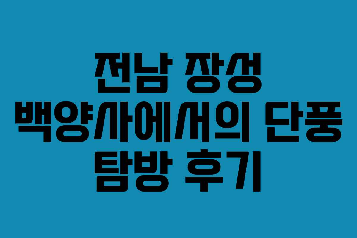 전남 장성 백양사에서의 단풍 탐방 후기