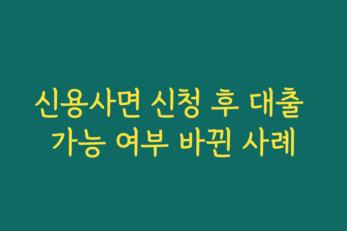 신용사면 신청 후 대출 가능 여부 바뀐 사례