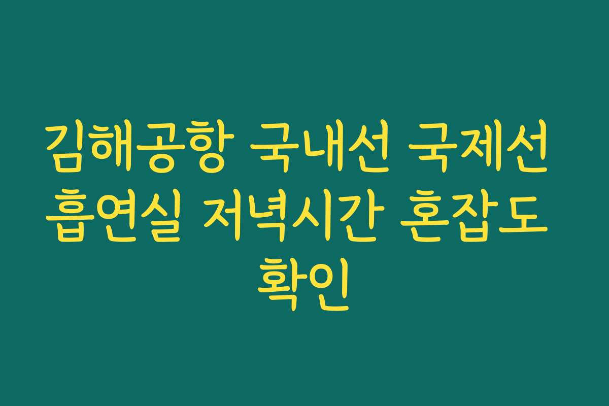 김해공항 국내선 국제선 흡연실 저녁시간 혼잡도 확인