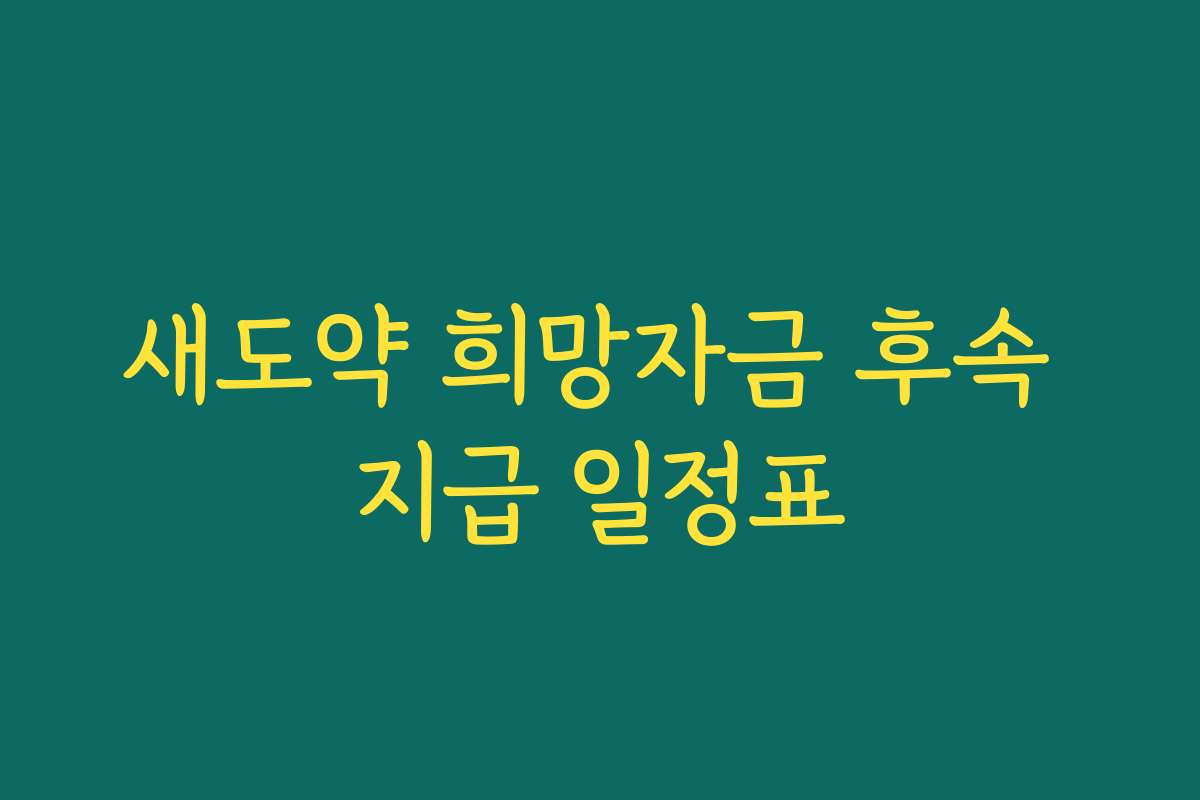 새도약 희망자금 후속 지급 일정표