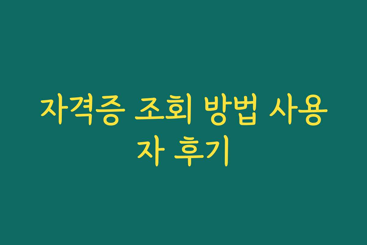 자격증 조회 방법 사용자 후기 자격증 조회 방법 사용자 후기