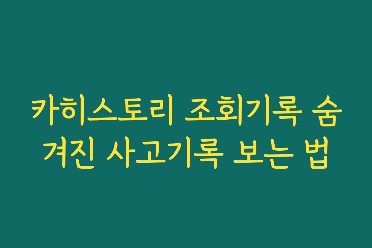 카히스토리 조회기록 숨겨진 사고기록 보는 법 카히스토리 조회기록 숨겨진 사고기록 보는 법