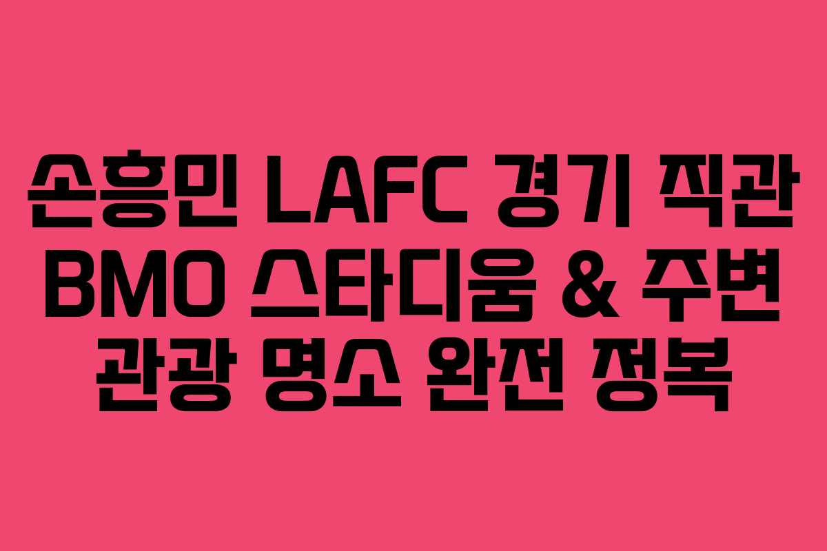 손흥민 LAFC 경기 직관 BMO 스타디움 & 주변 관광 명소 완전 정복 손흥민 LAFC 경기 직관 BMO 스타디움 & 주변 관광 명소 완전 정복