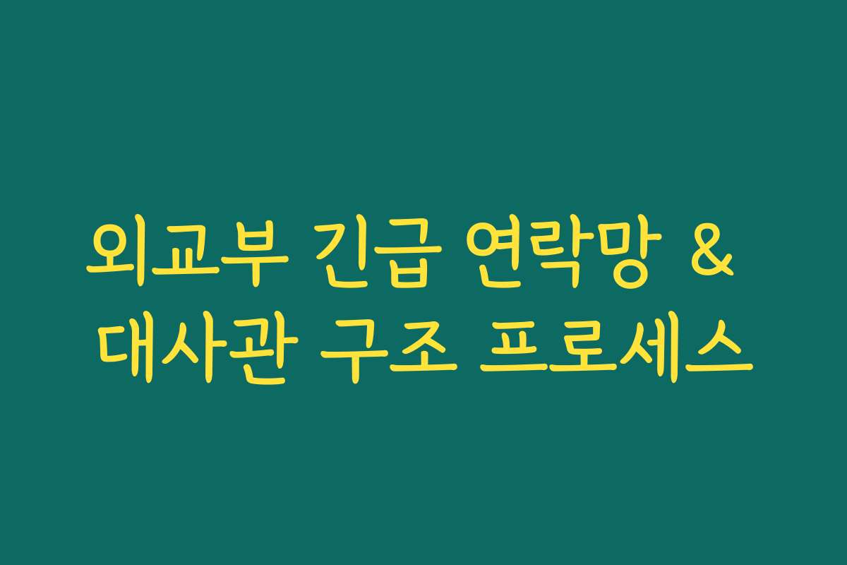 외교부 긴급 연락망 & 대사관 구조 프로세스