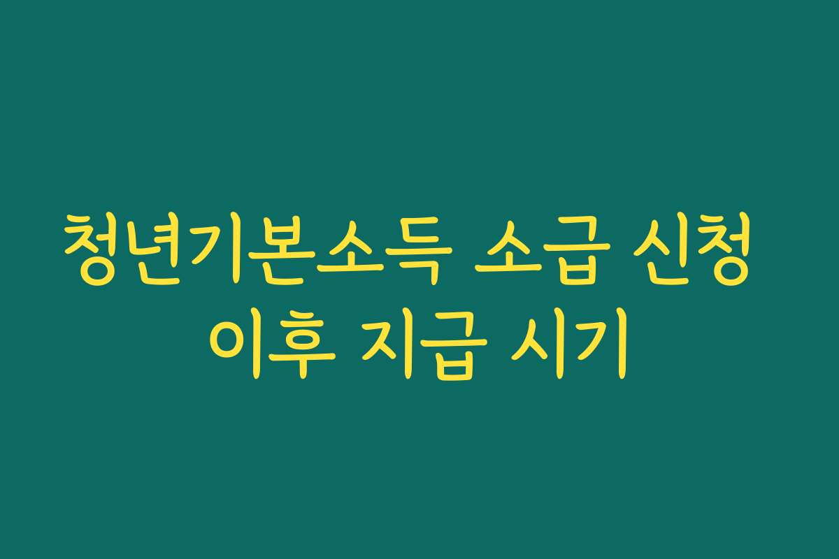 청년기본소득 소급 신청 이후 지급 시기