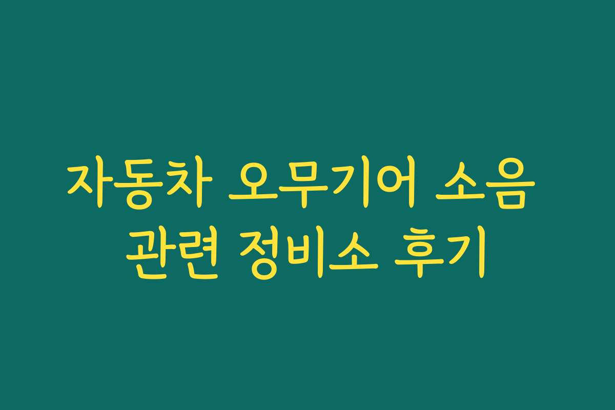 자동차 오무기어 소음 관련 정비소 후기