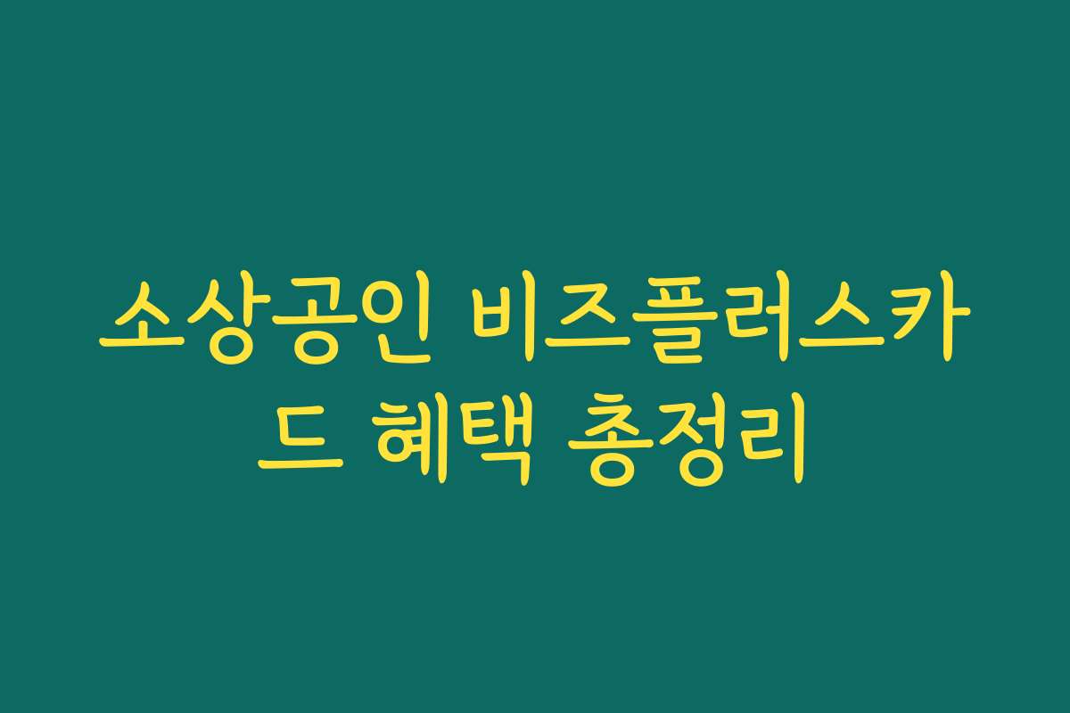 소상공인 비즈플러스카드 혜택 총정리