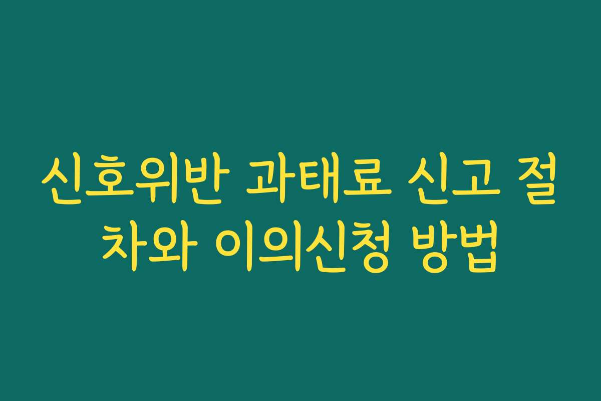 신호위반 과태료 신고 절차와 이의신청 방법