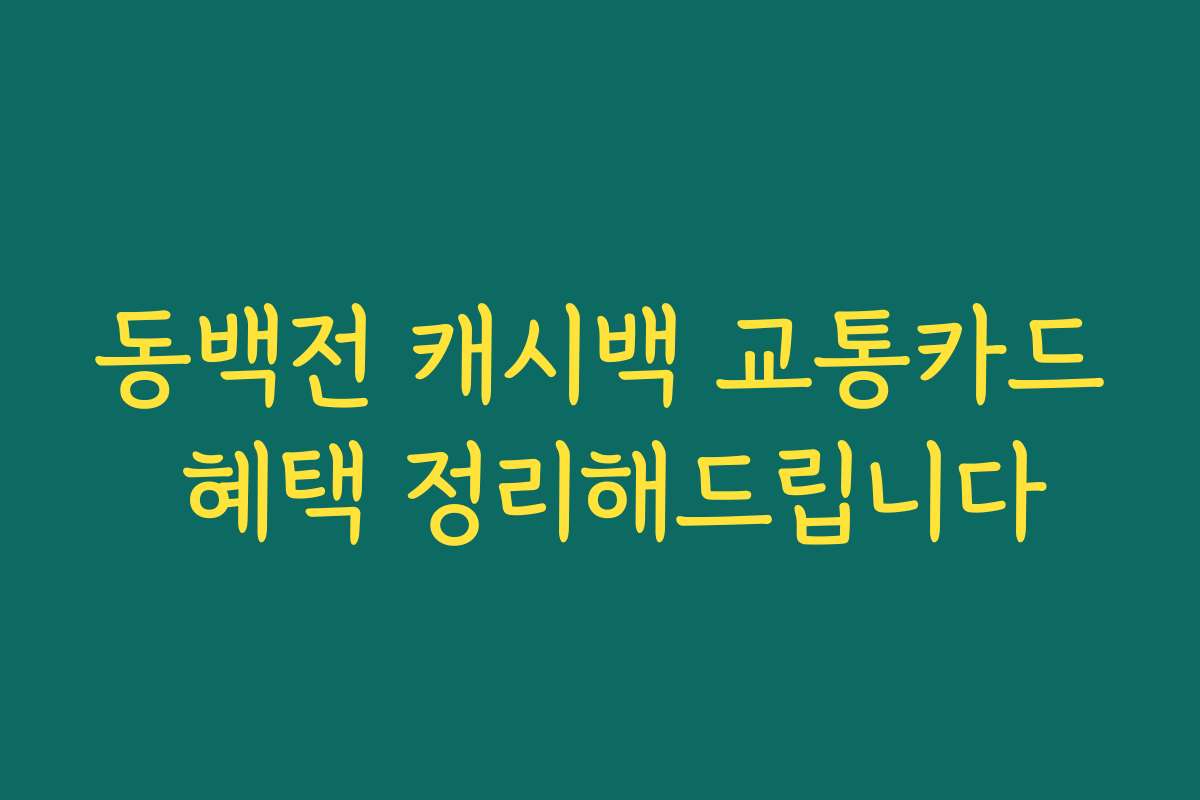 동백전 캐시백 교통카드 혜택 정리해드립니다 동백전 캐시백 교통카드 혜택 정리해드립니다